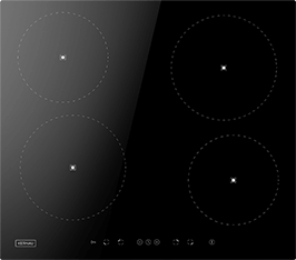 Induktionsfeld Reparatur Bautzen